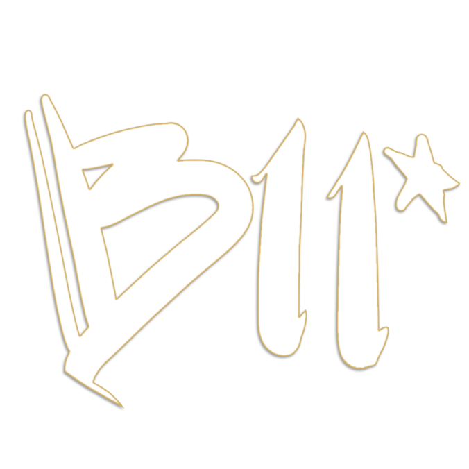 Adventures Of B11